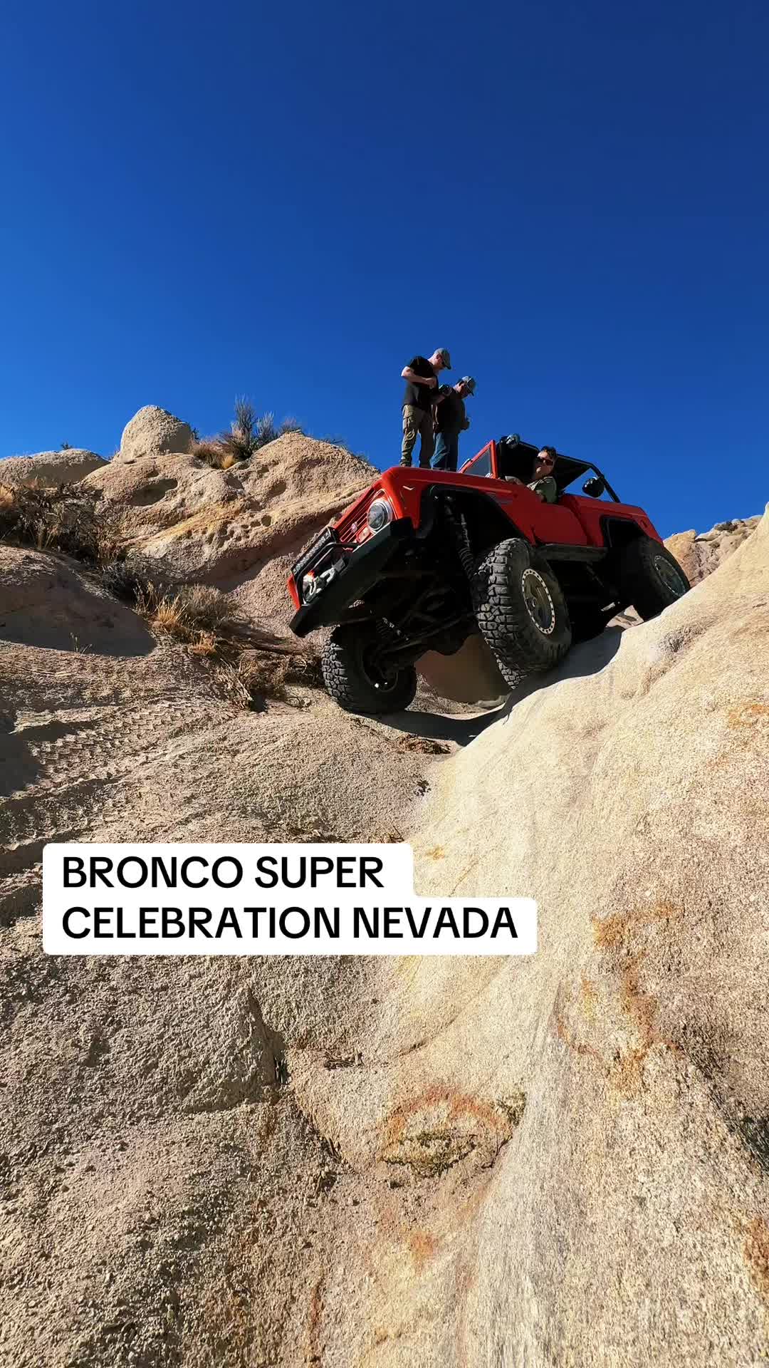 @Wild Horses Broncos