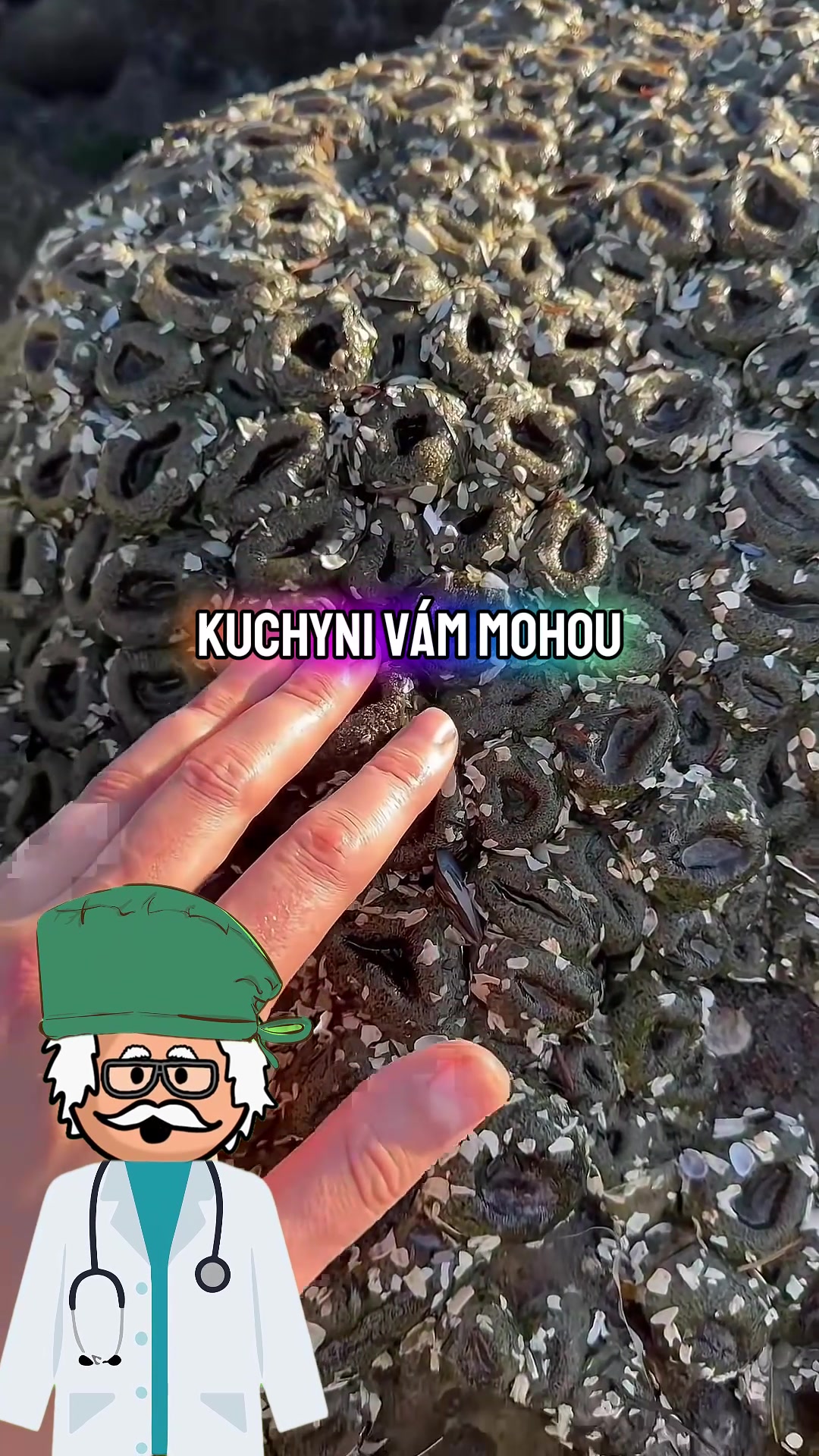@Doktor TahNaBranku