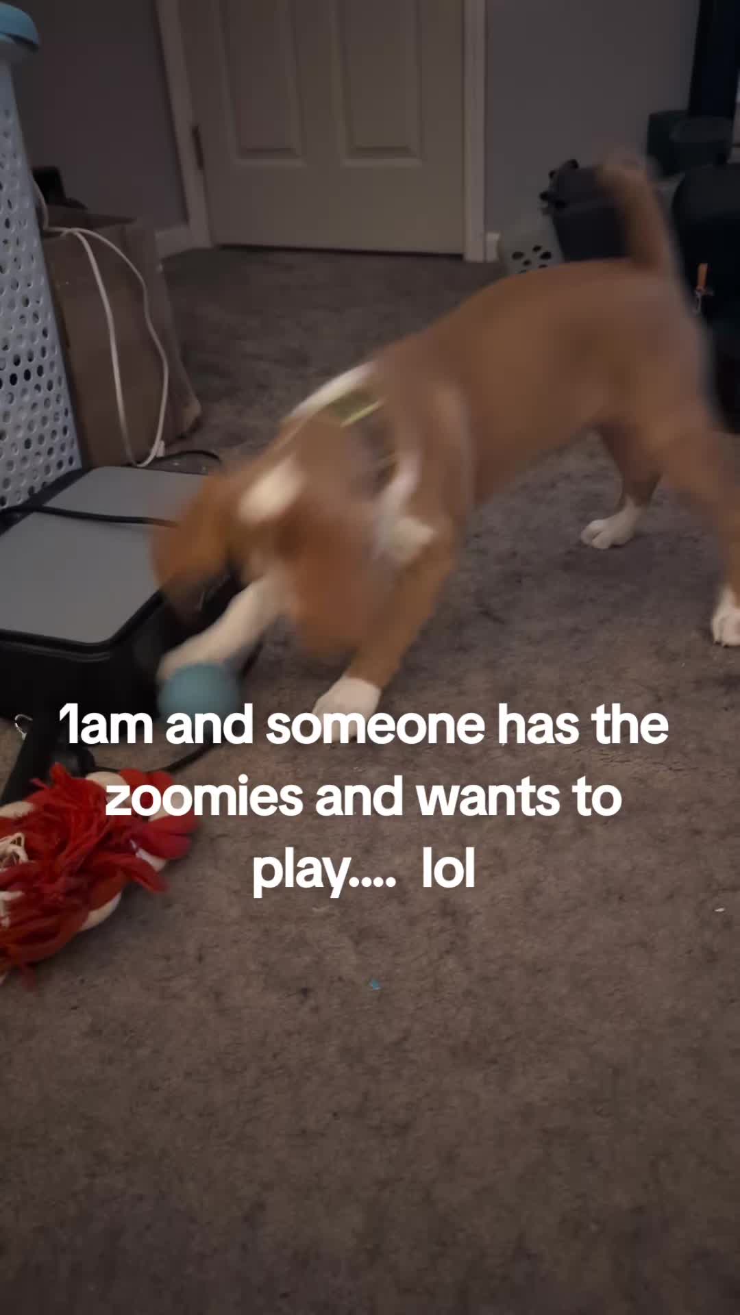 @Spartan130