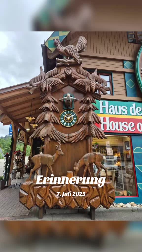 @Zartes Reh 🦌