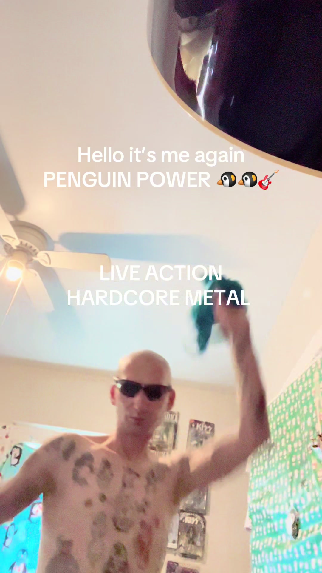 @kevinelseg