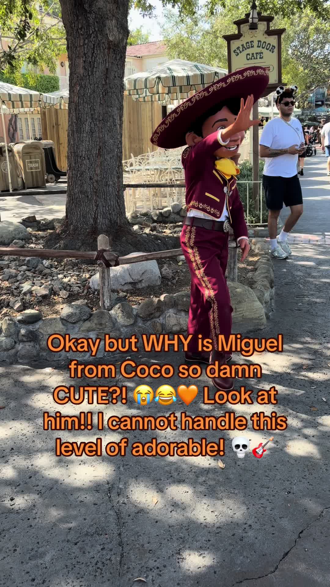 @tinarosethemeparklife