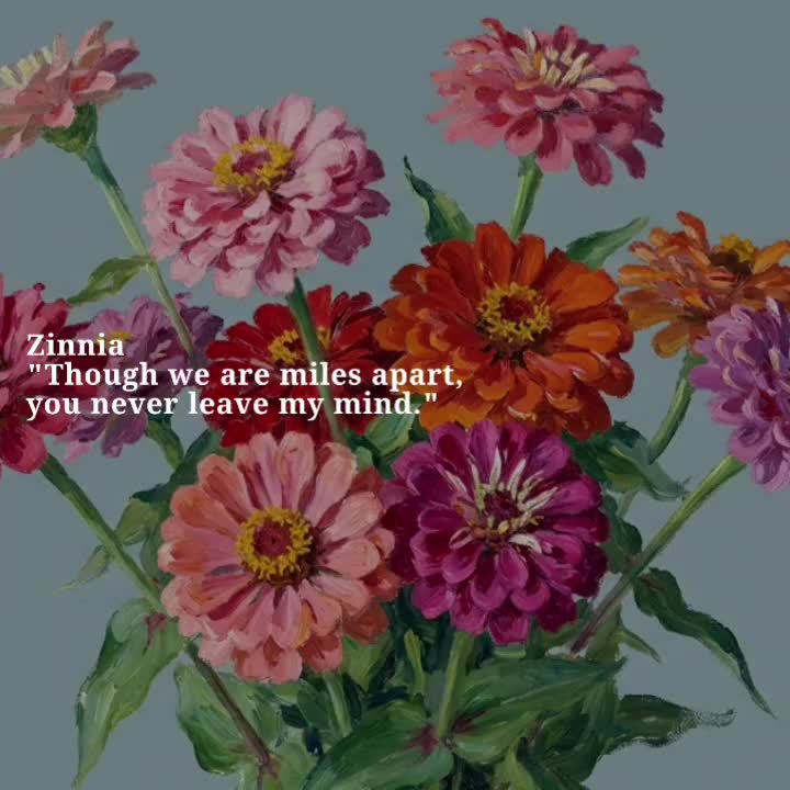 @🌸│NINIX &middot;🌷│