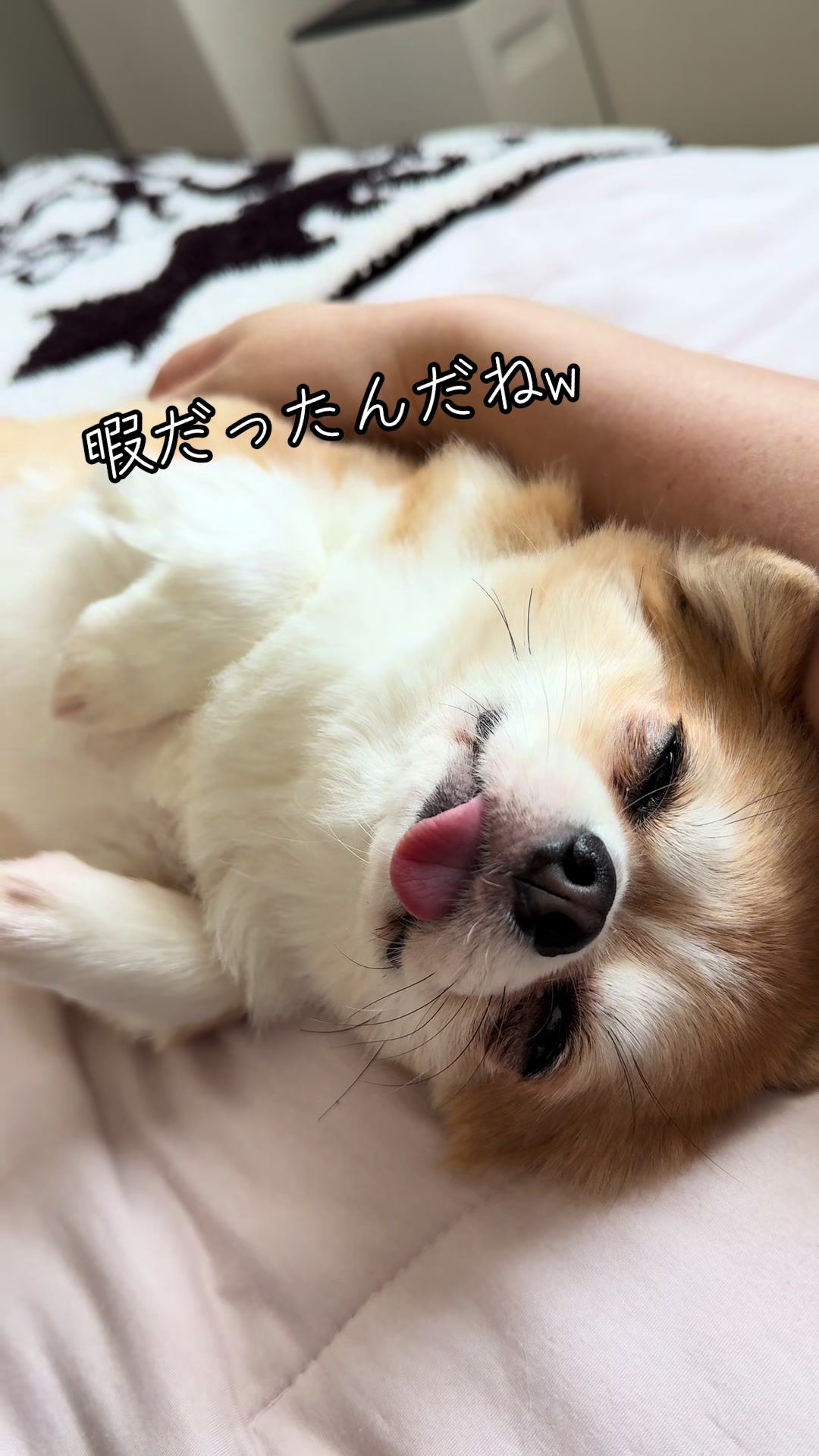 @心太