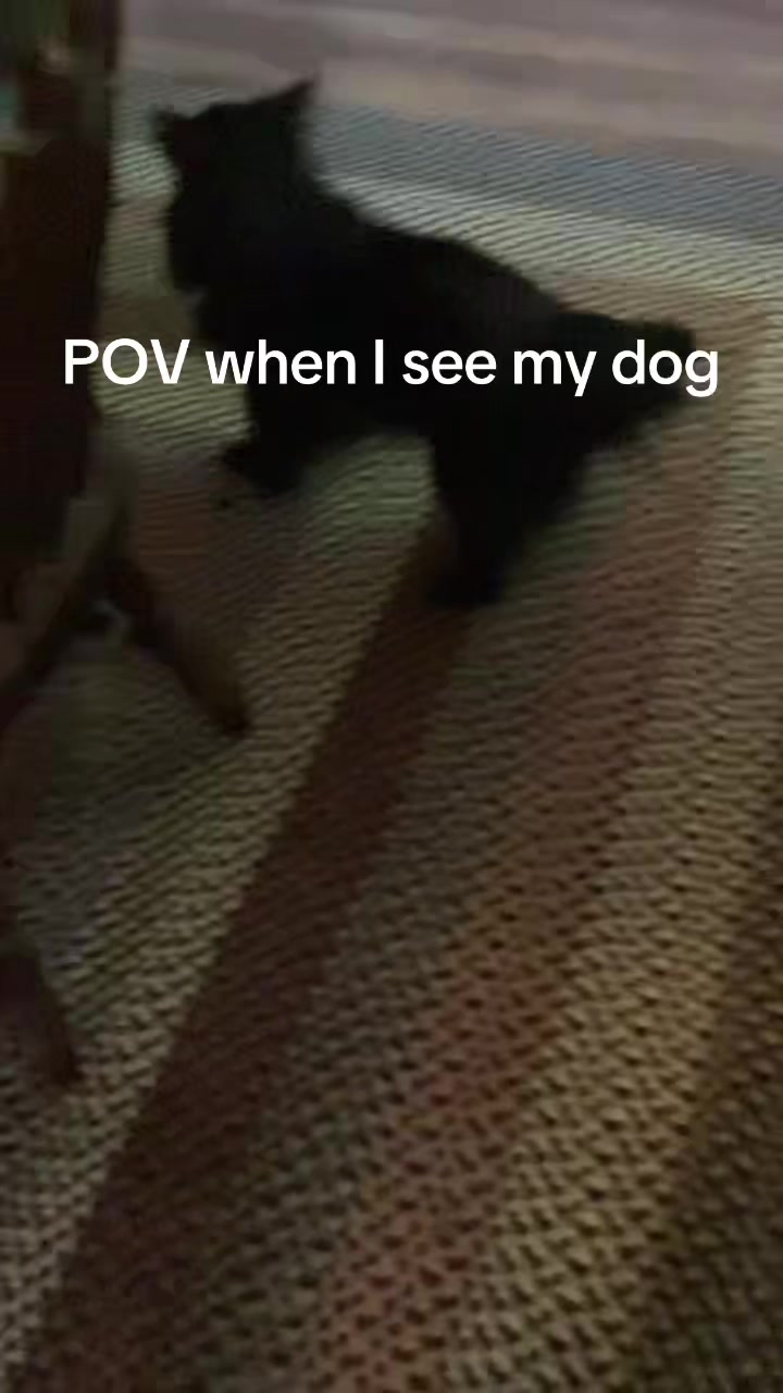 @Ghostify