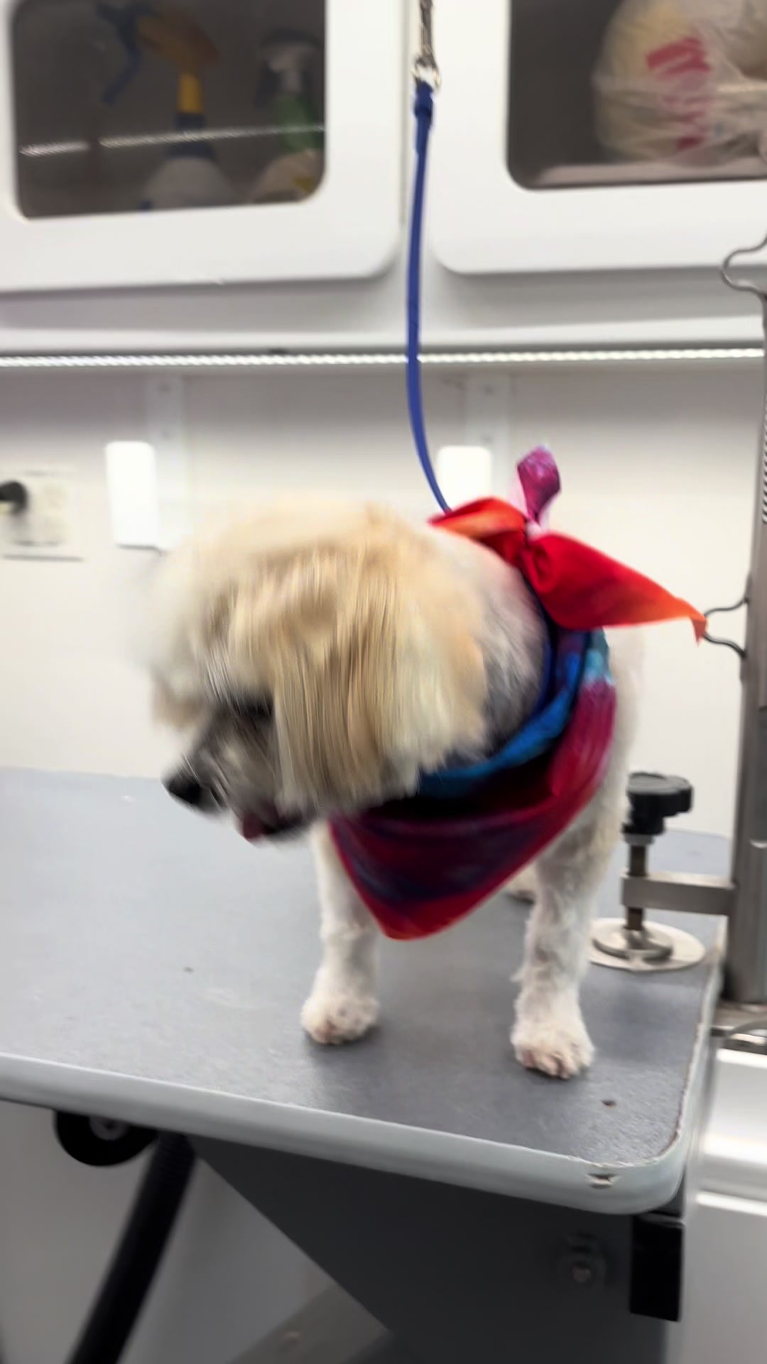 @Furbabies Grooming