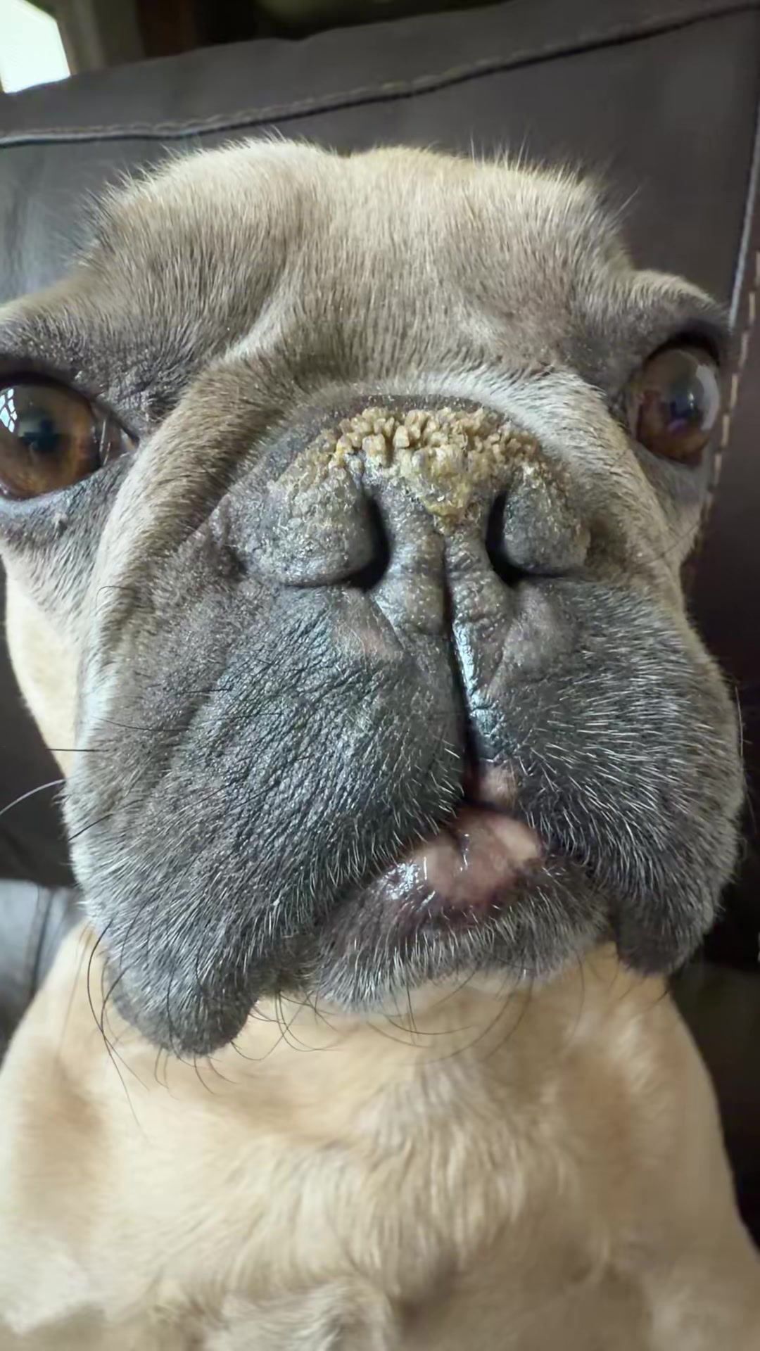 @bentleytheg0at