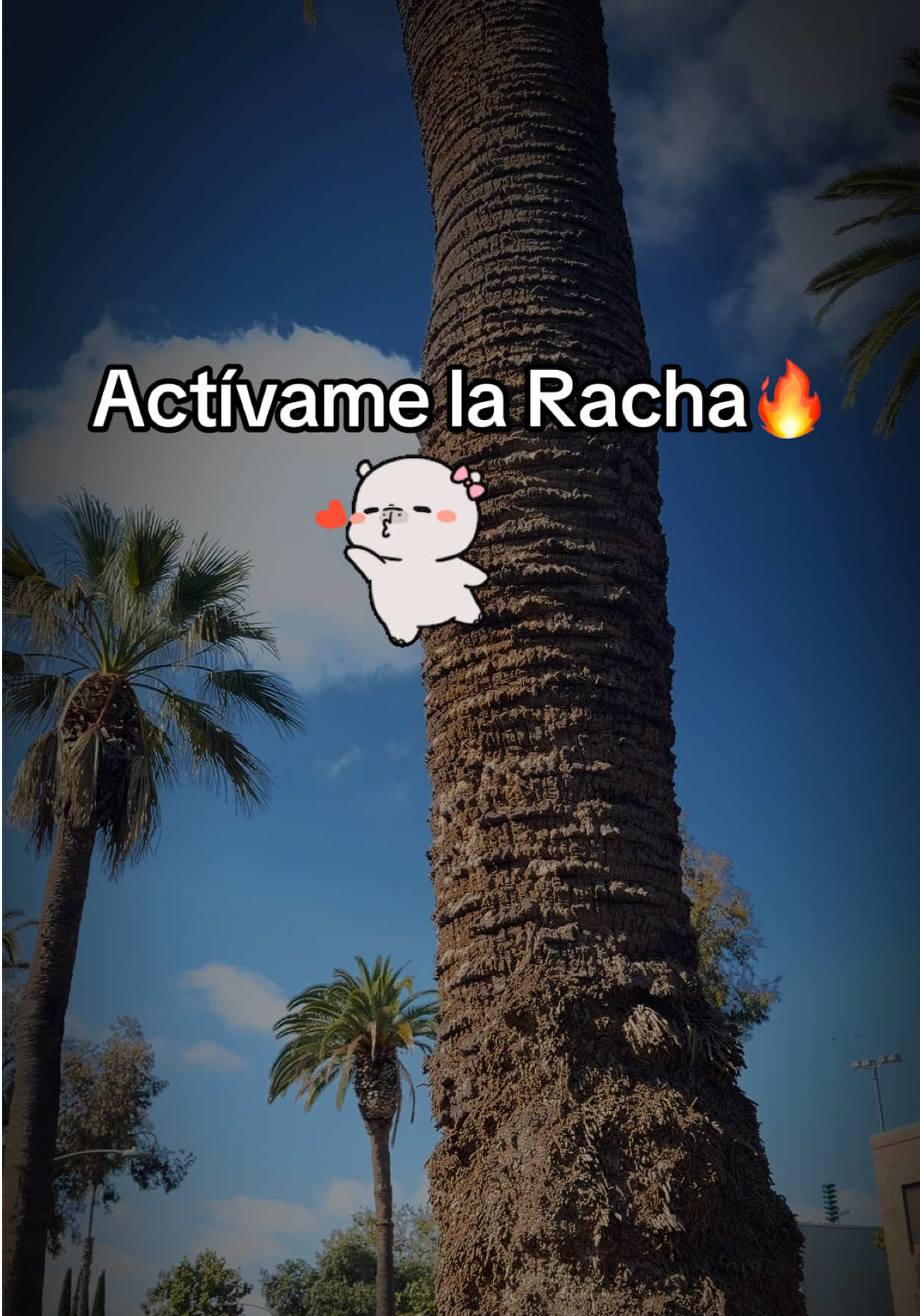@💛PAO OFICIAL🍣💙🇬🇹🇲🇽🔟🤴