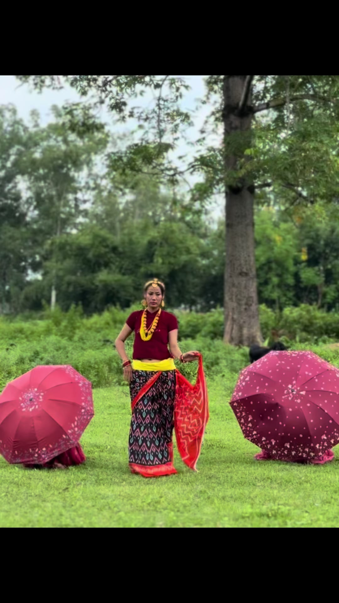 @Krazina Lama