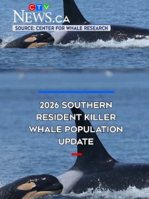 @CTV News Vancouver Island