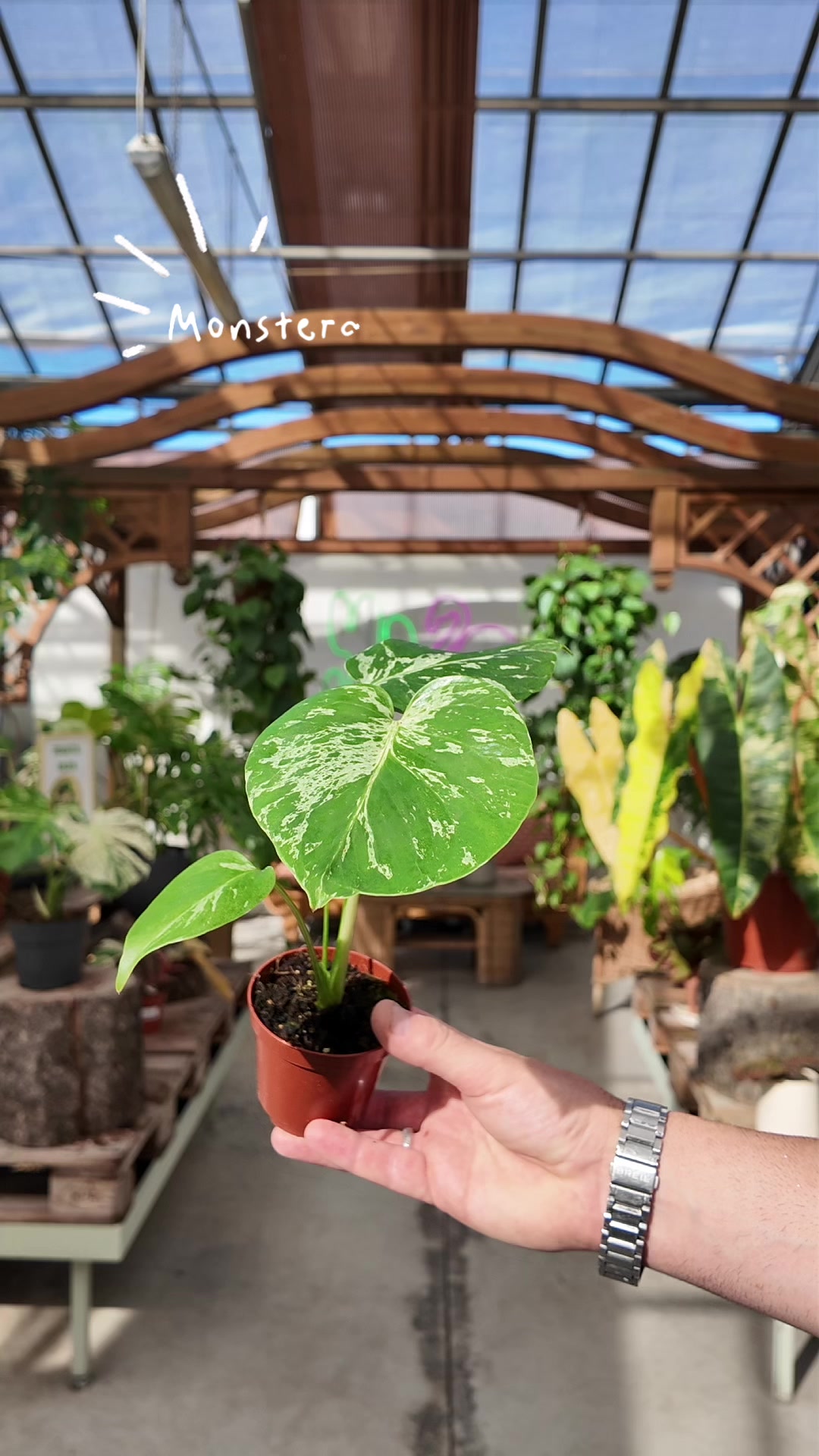 @Garden Center Brioli