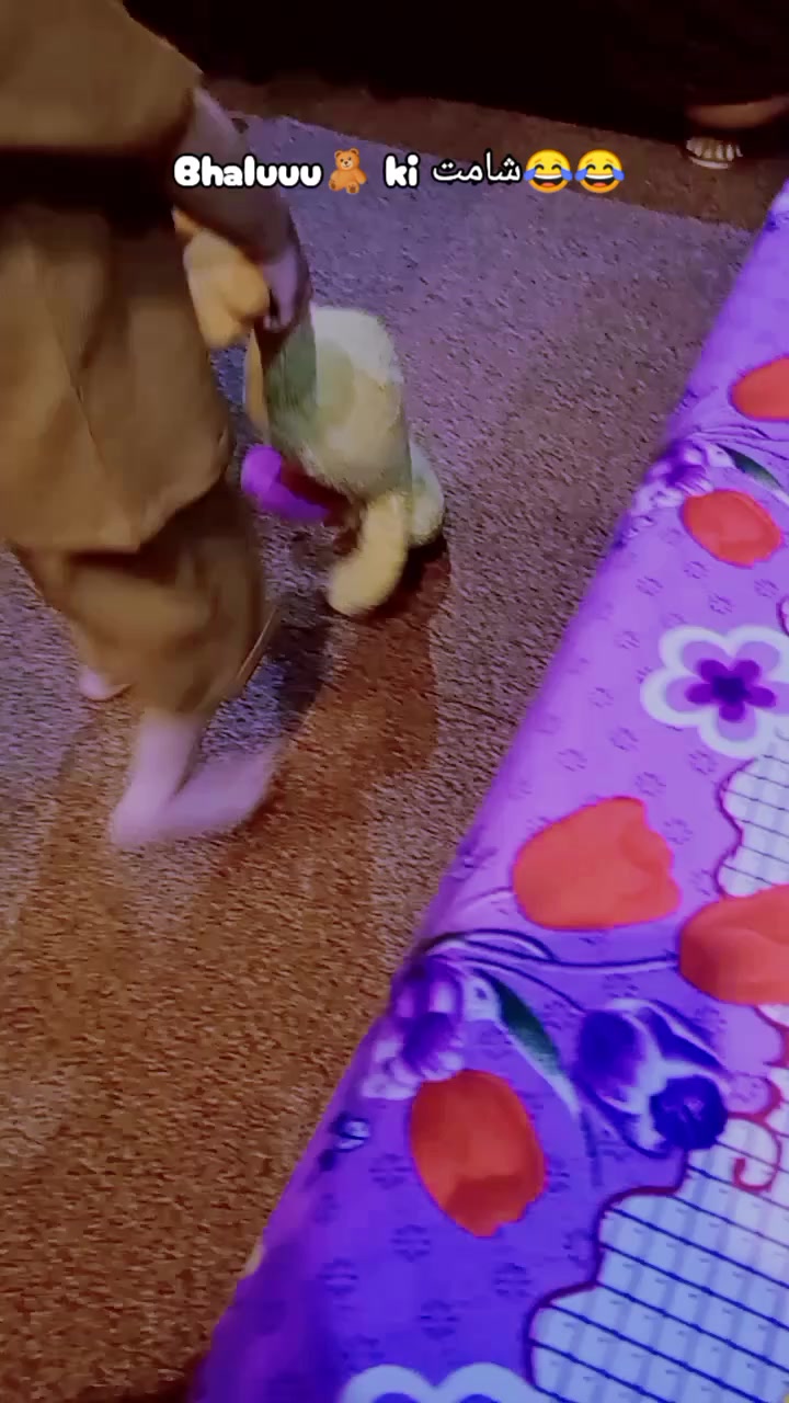 @Aiman🧸