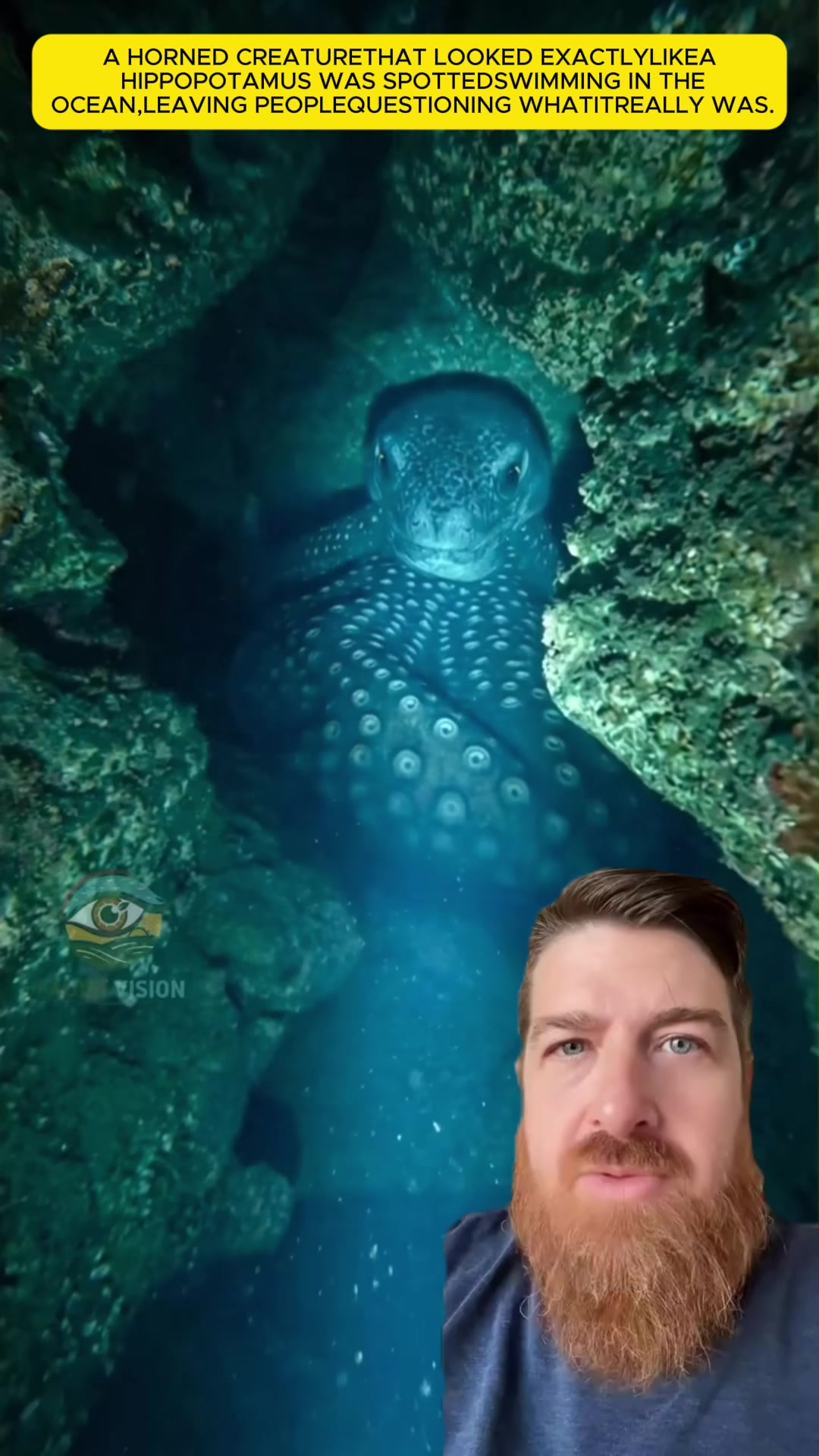 @rtgf69