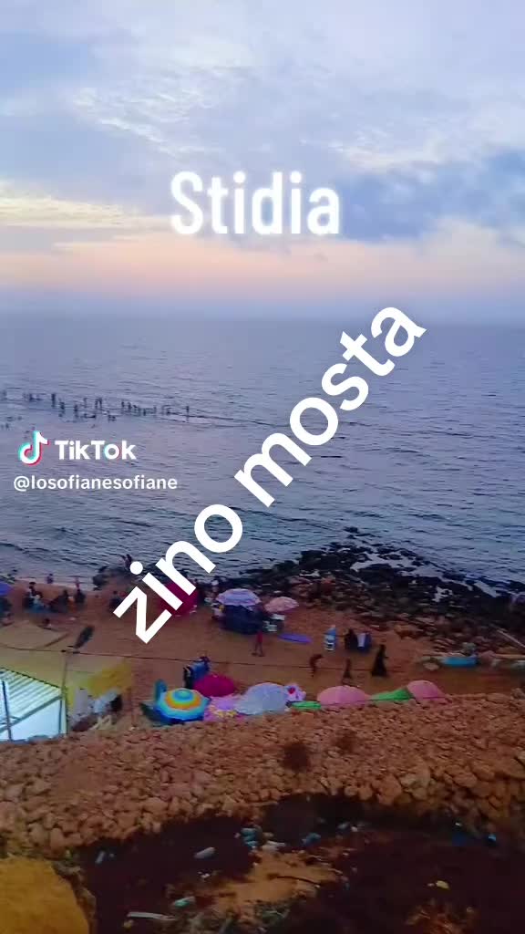 @zino stidia