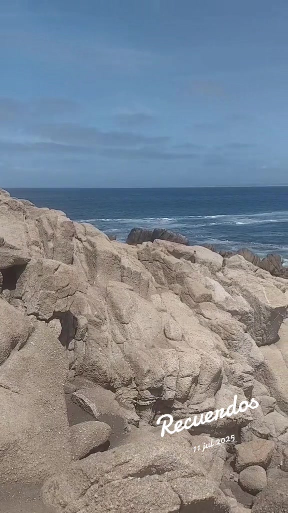 @Carlos Castillo 🍀🐸🐇🇲🇽