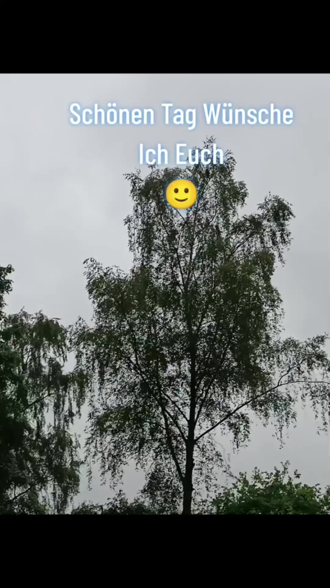 @44OLA4