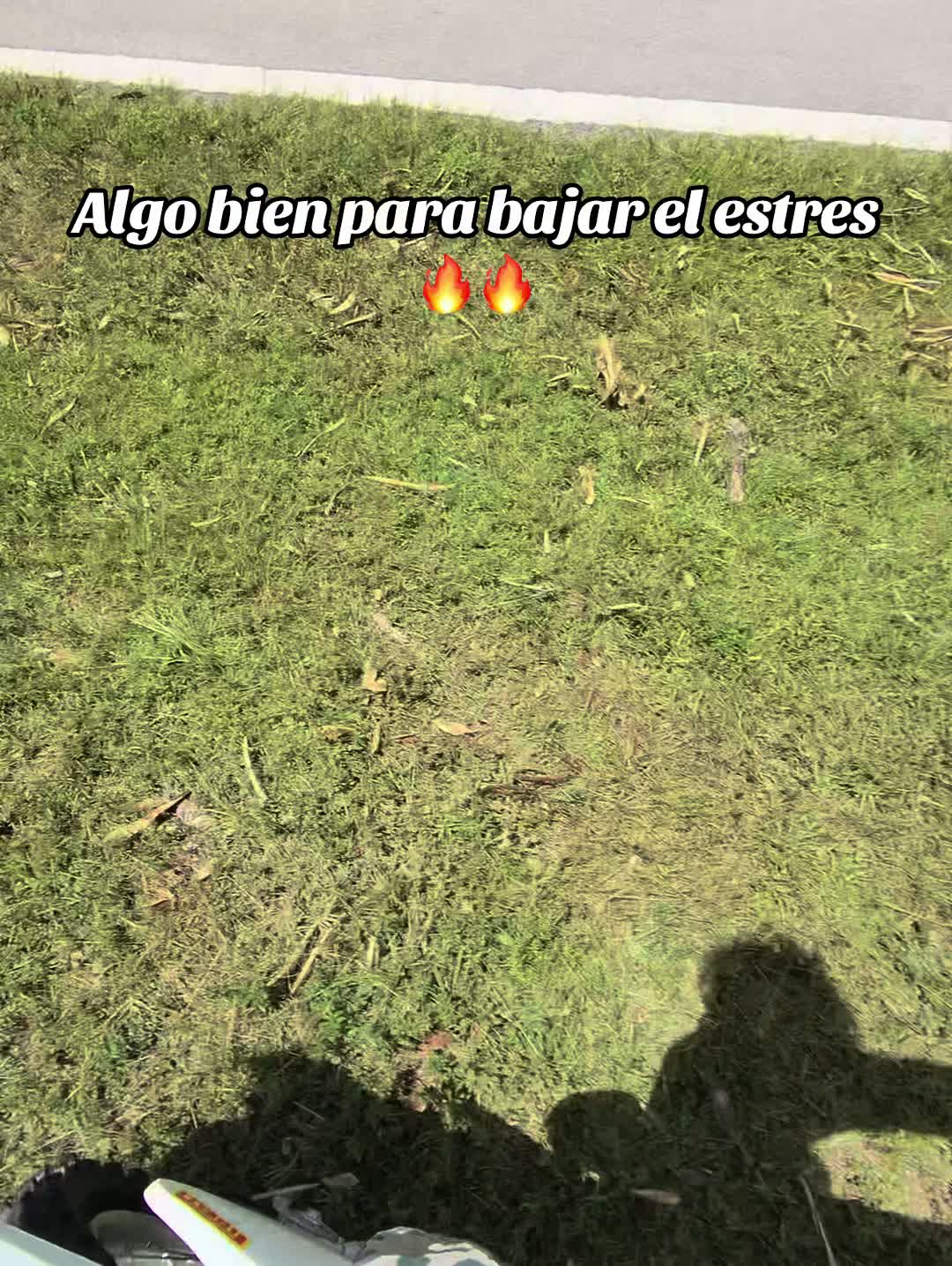 @🤖valdez