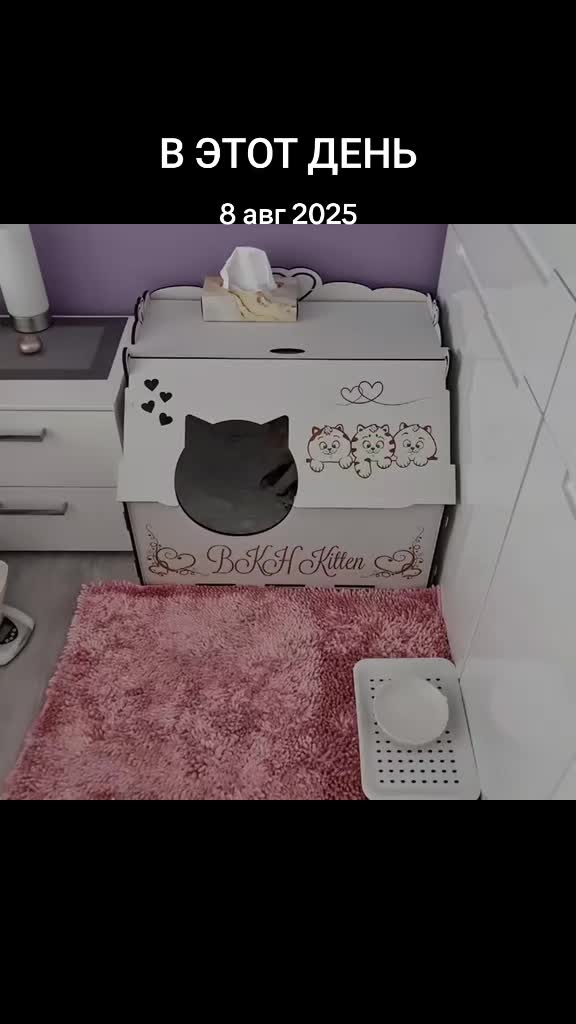 @LanaCats