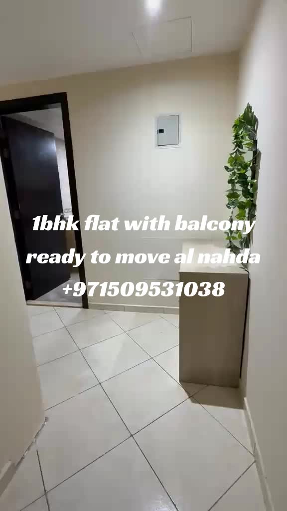 @Muhammad Ali realtor 🇵🇸