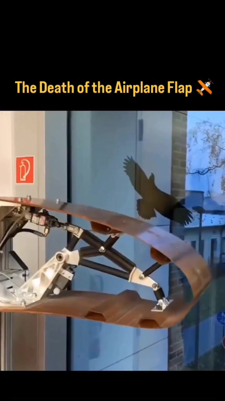 @caanpilot
