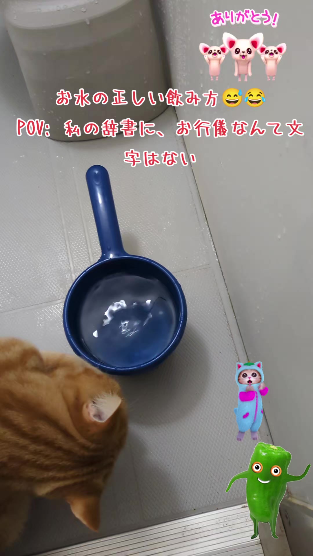 @JUNjun