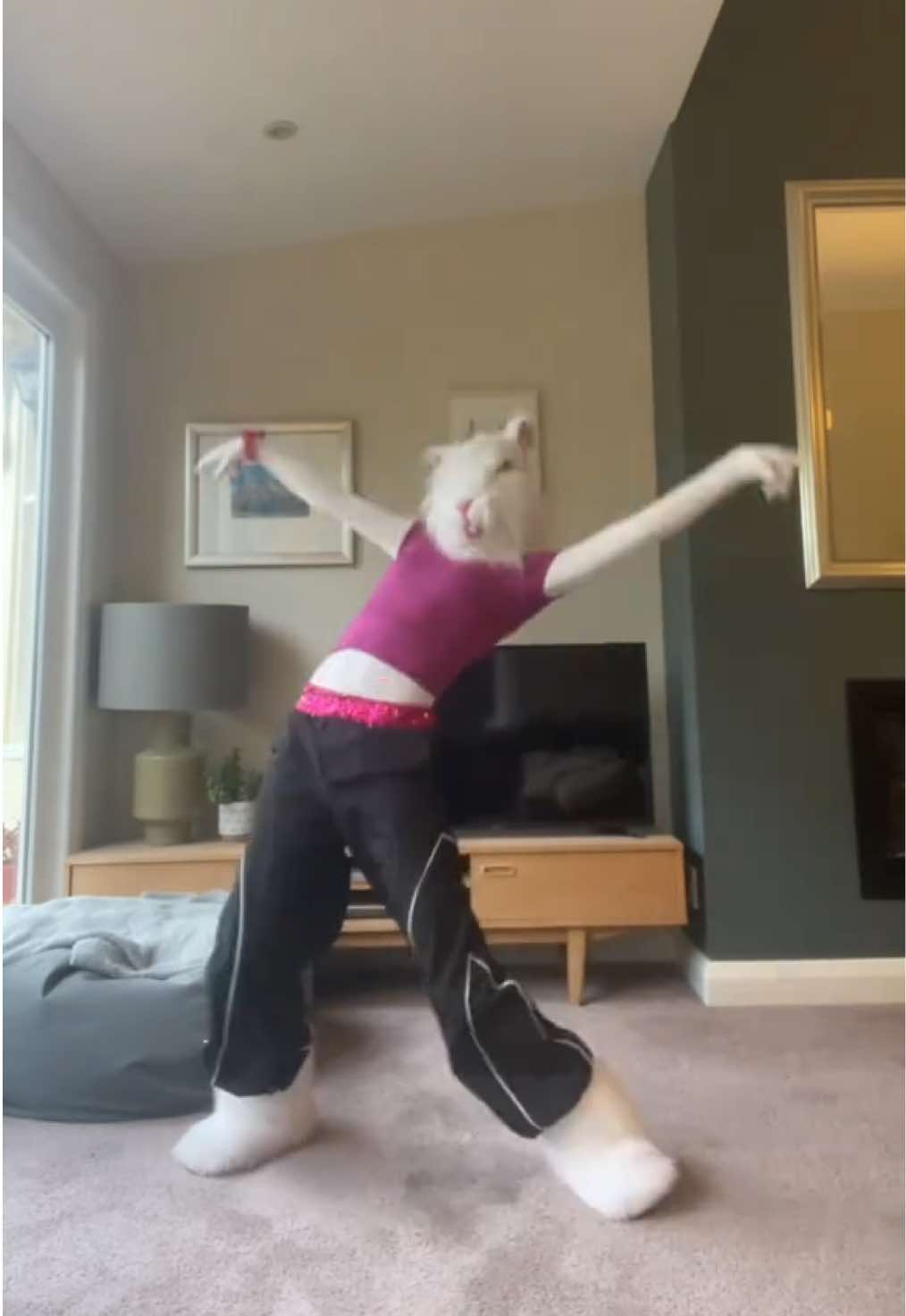 @RATTITUDE