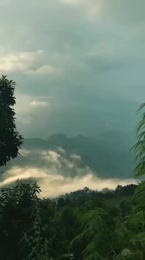 @Rezina