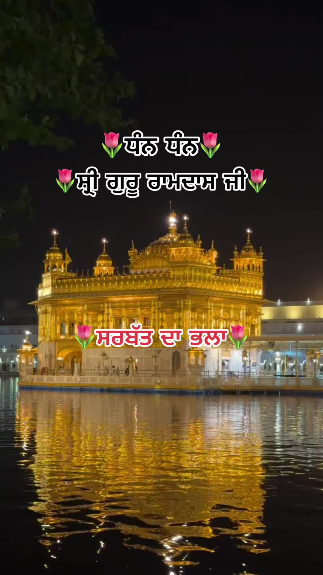 @sharanjitcheema0