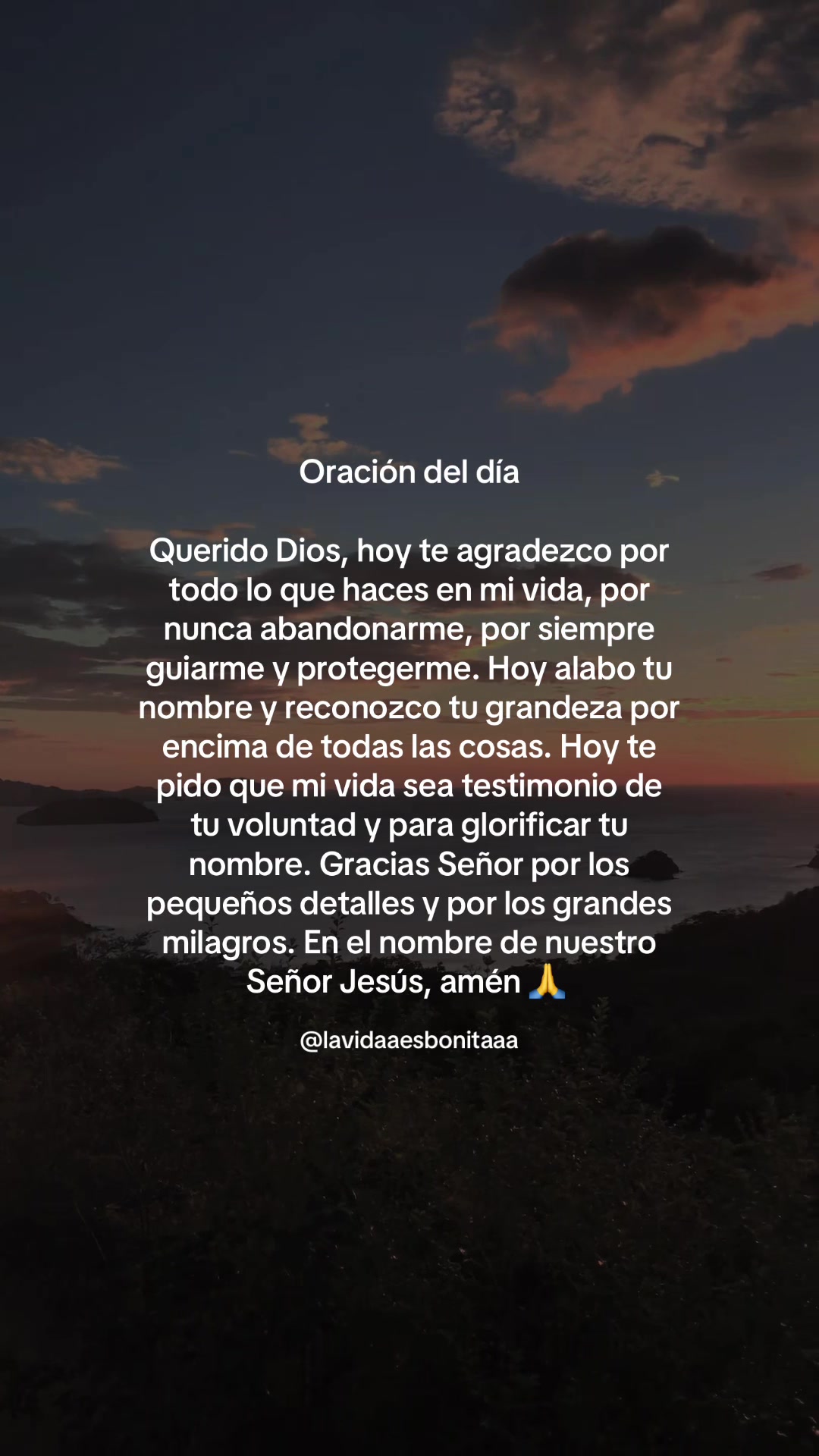@vidabonita❤️&zwj;🩹
