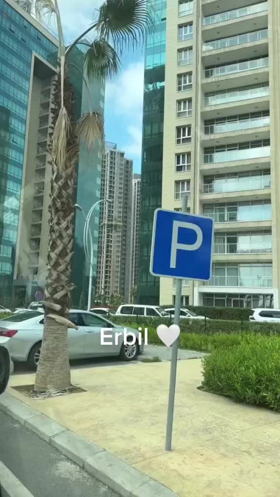 @Ari Tadano