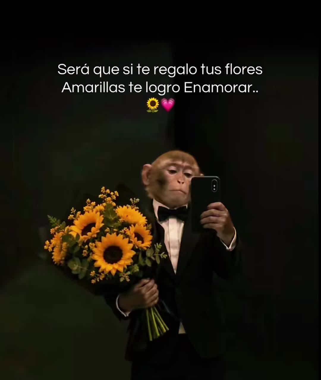 @JOAN🥷