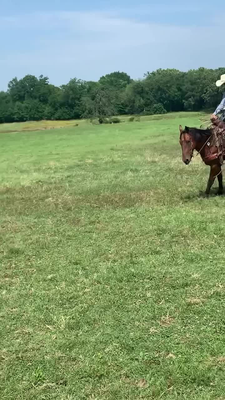 @ThunderGallops