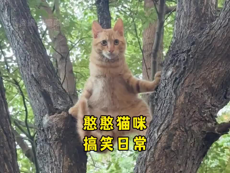 @ZenMove