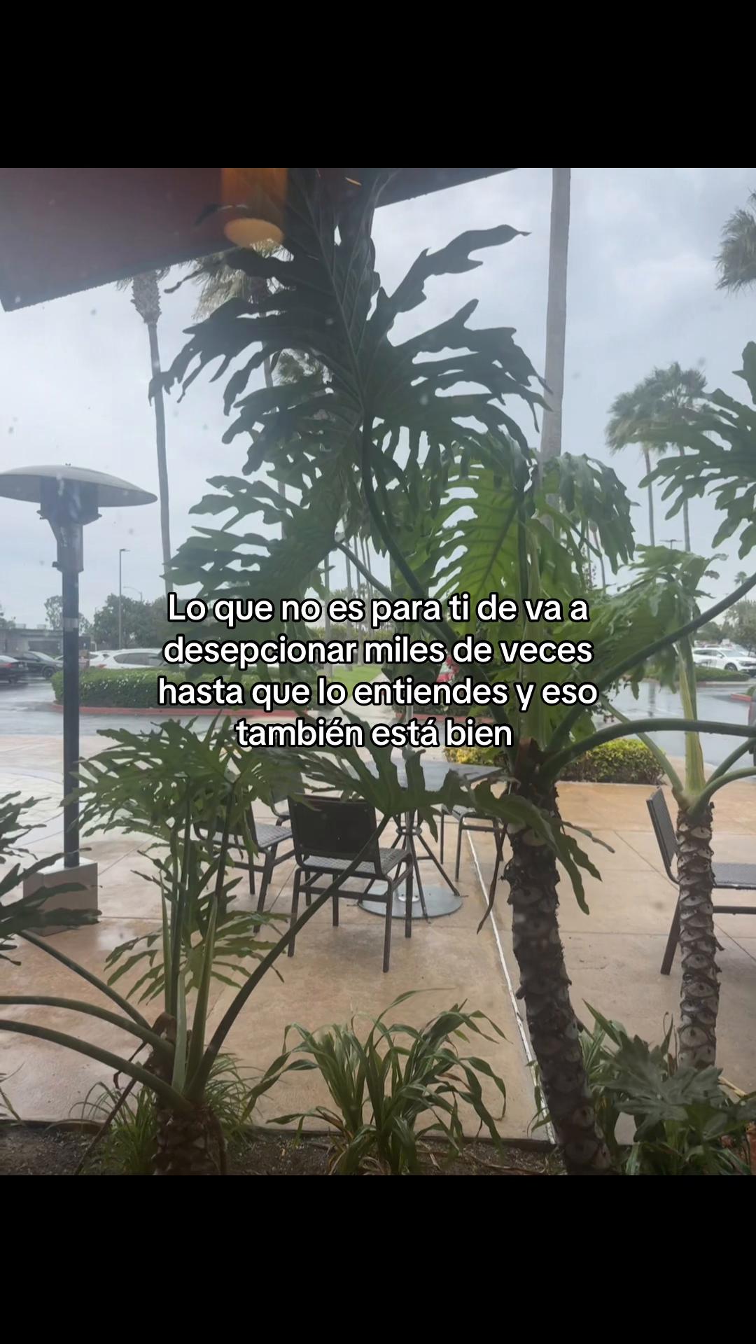 @IRIS🌸