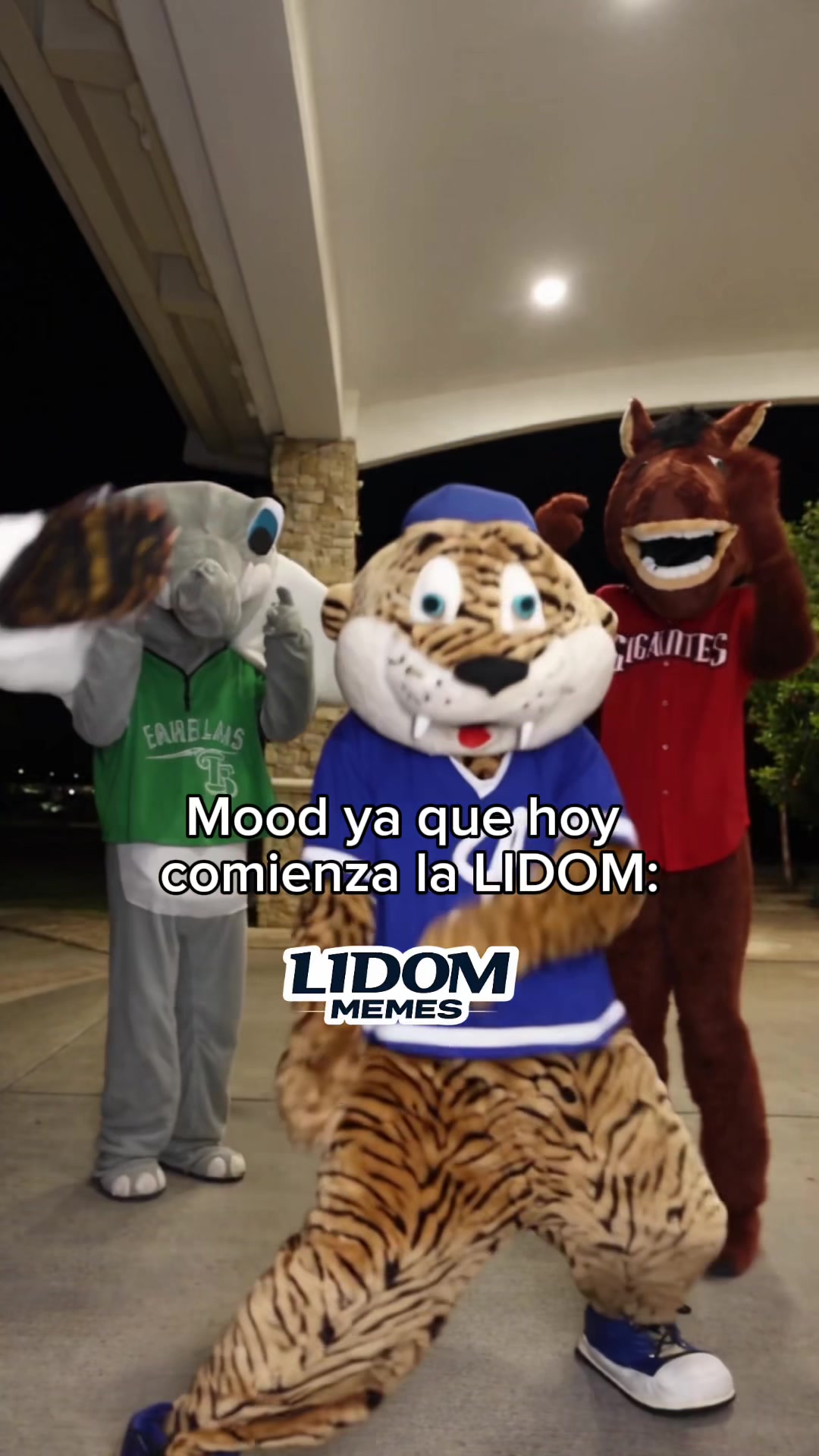 @lidommemes