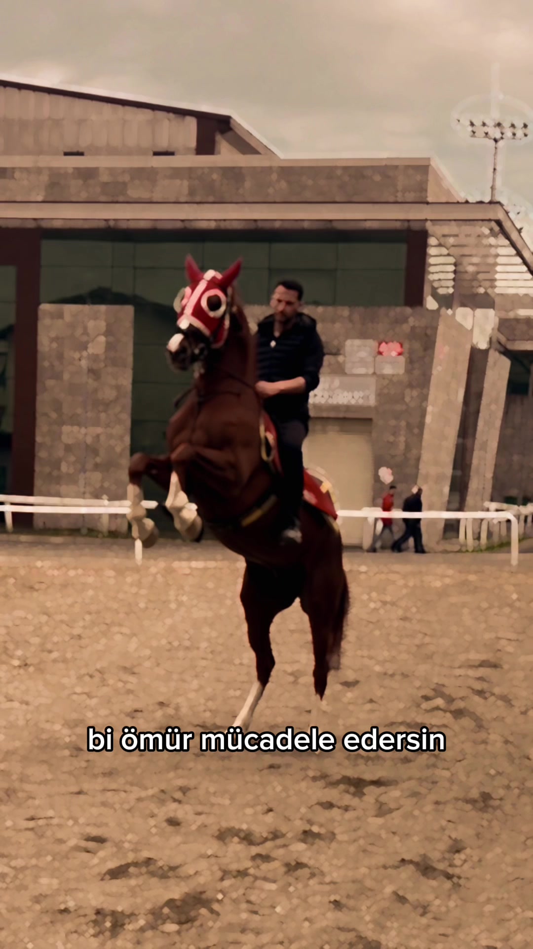 @Teymur