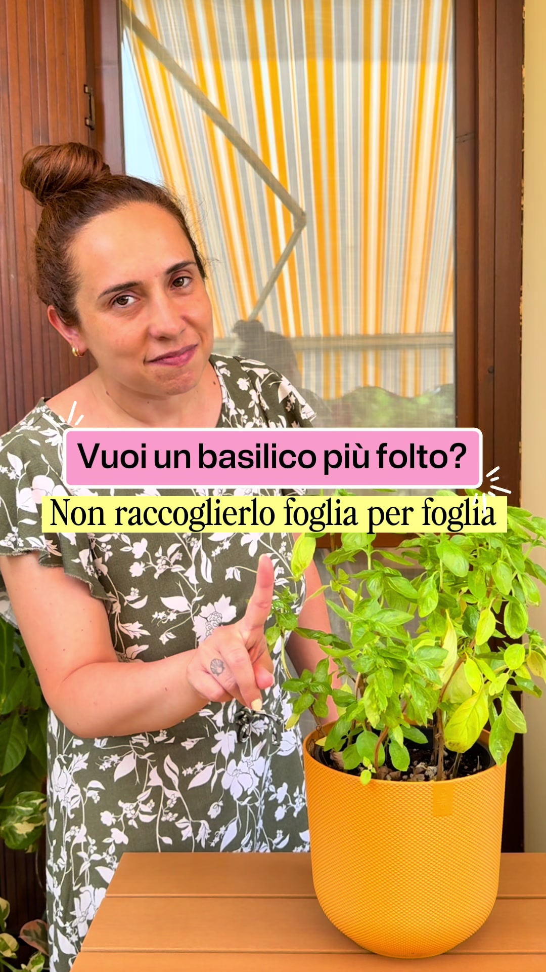 @Dora Delton | Piante & DIY