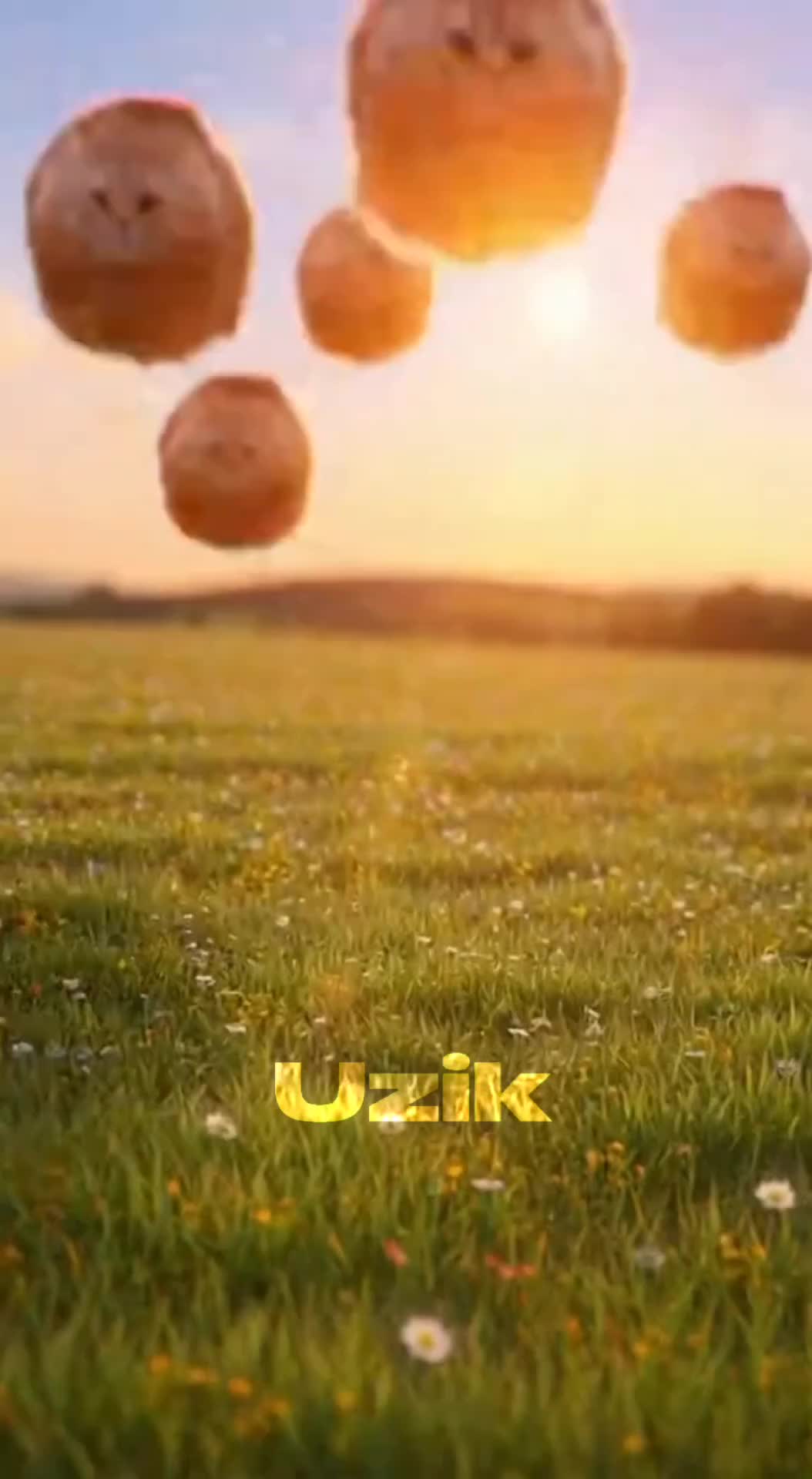 @UziK
