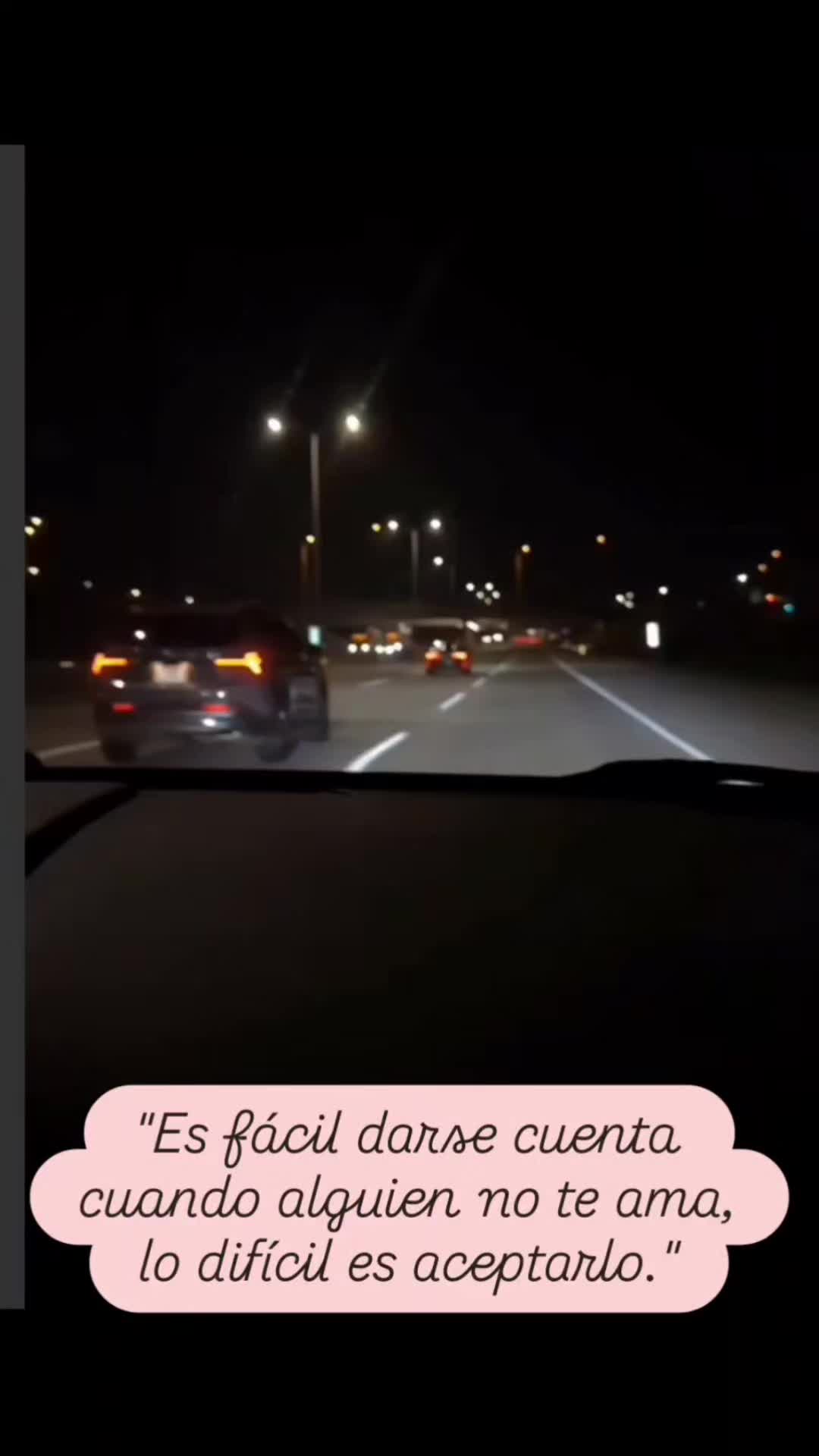 @el panda solitario
