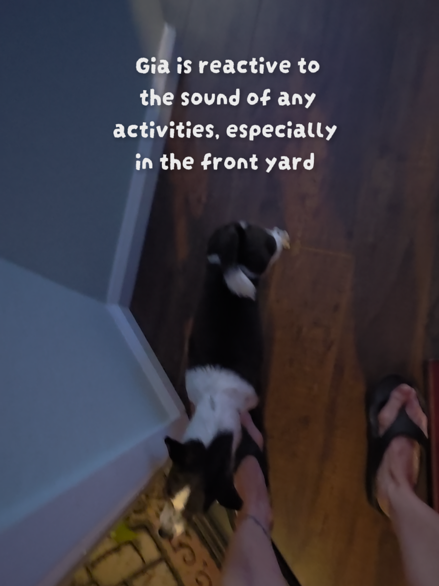 @𝕾𝖙𝖊𝖕𝖍𝖆𝖓𝖎𝖊