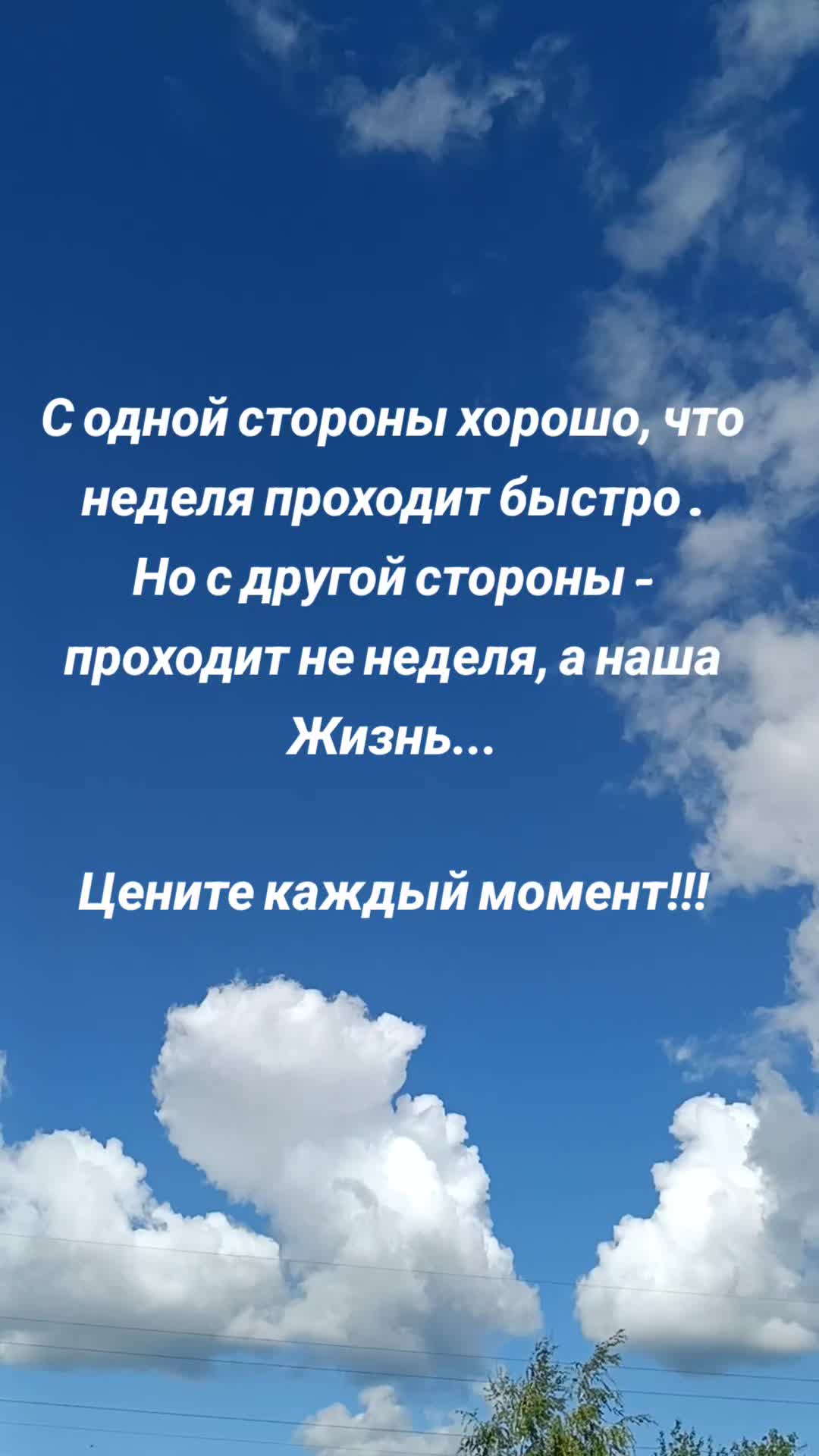 @yanozka