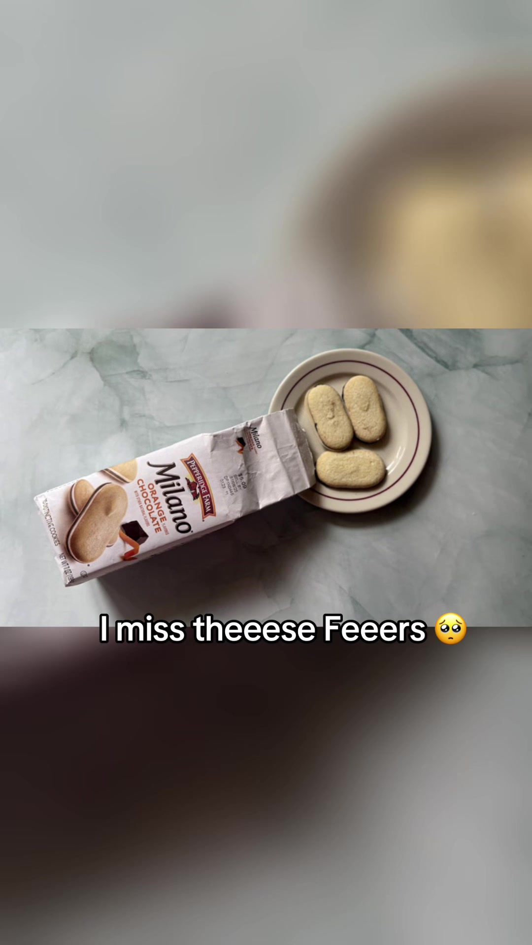 @raddyaura