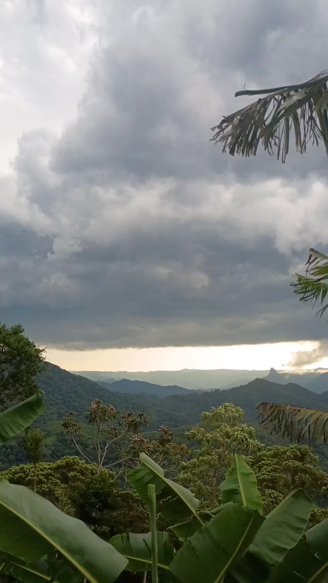 @vilmar alem&atilde;o