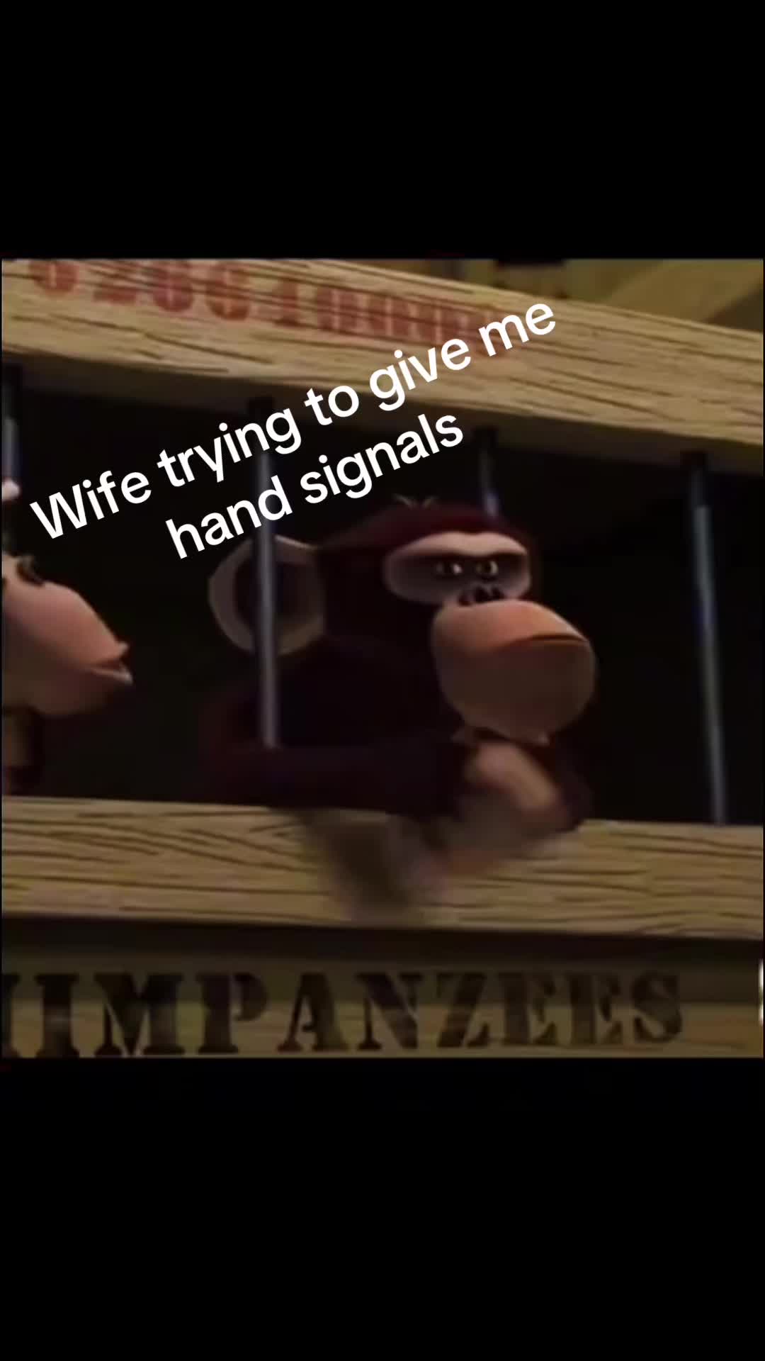 @azimca7h