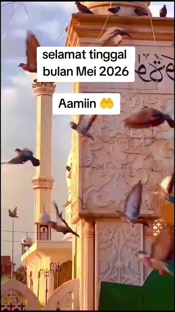 @اللهم صل على محمد