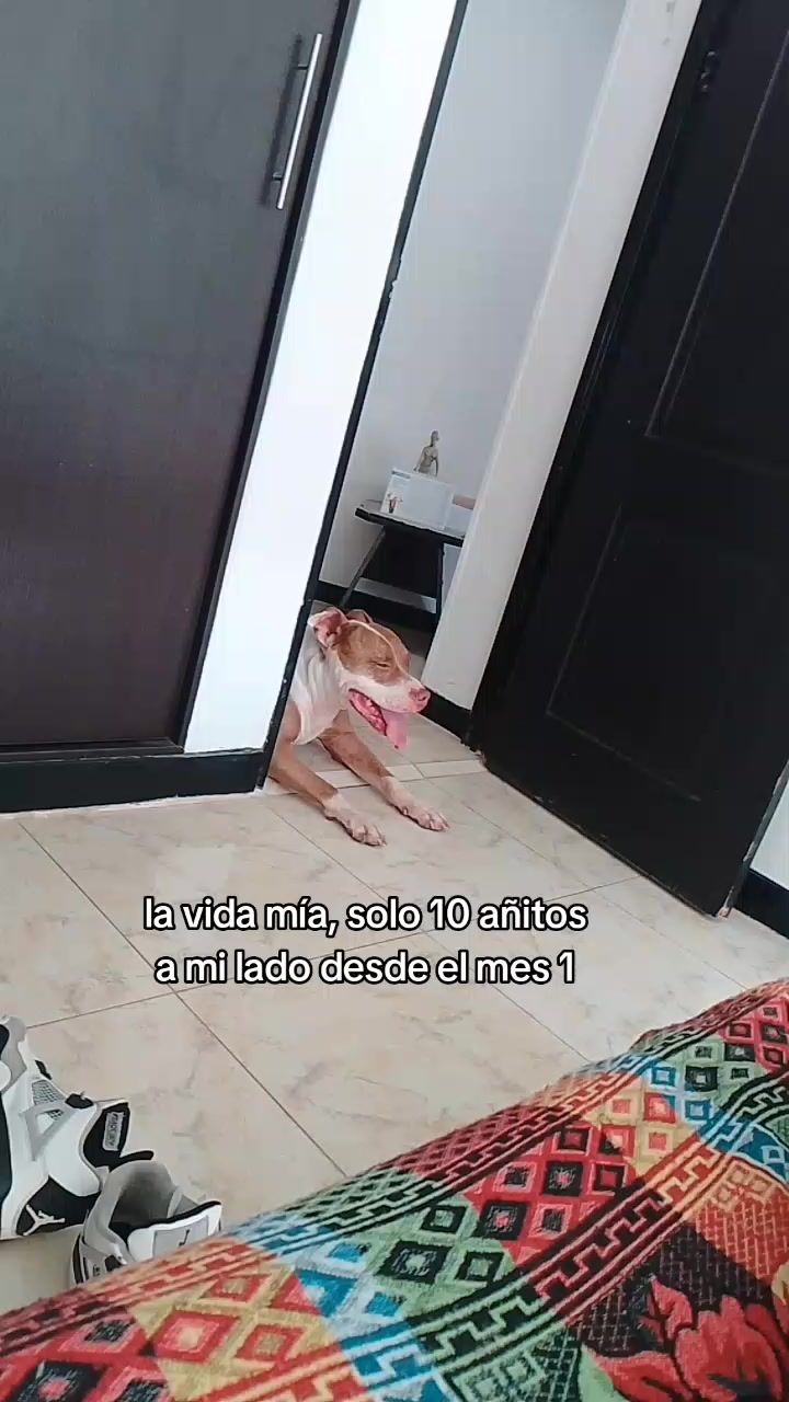 @TablonPlay