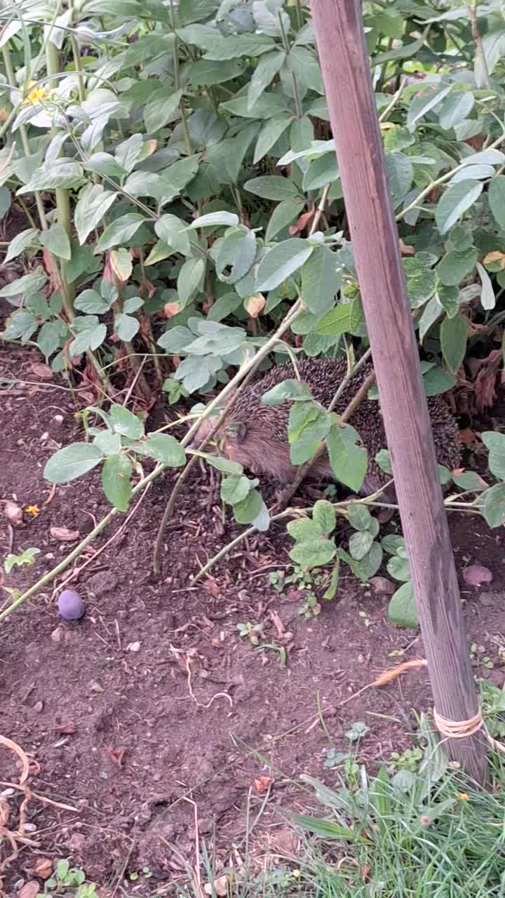 @Natur und Garten