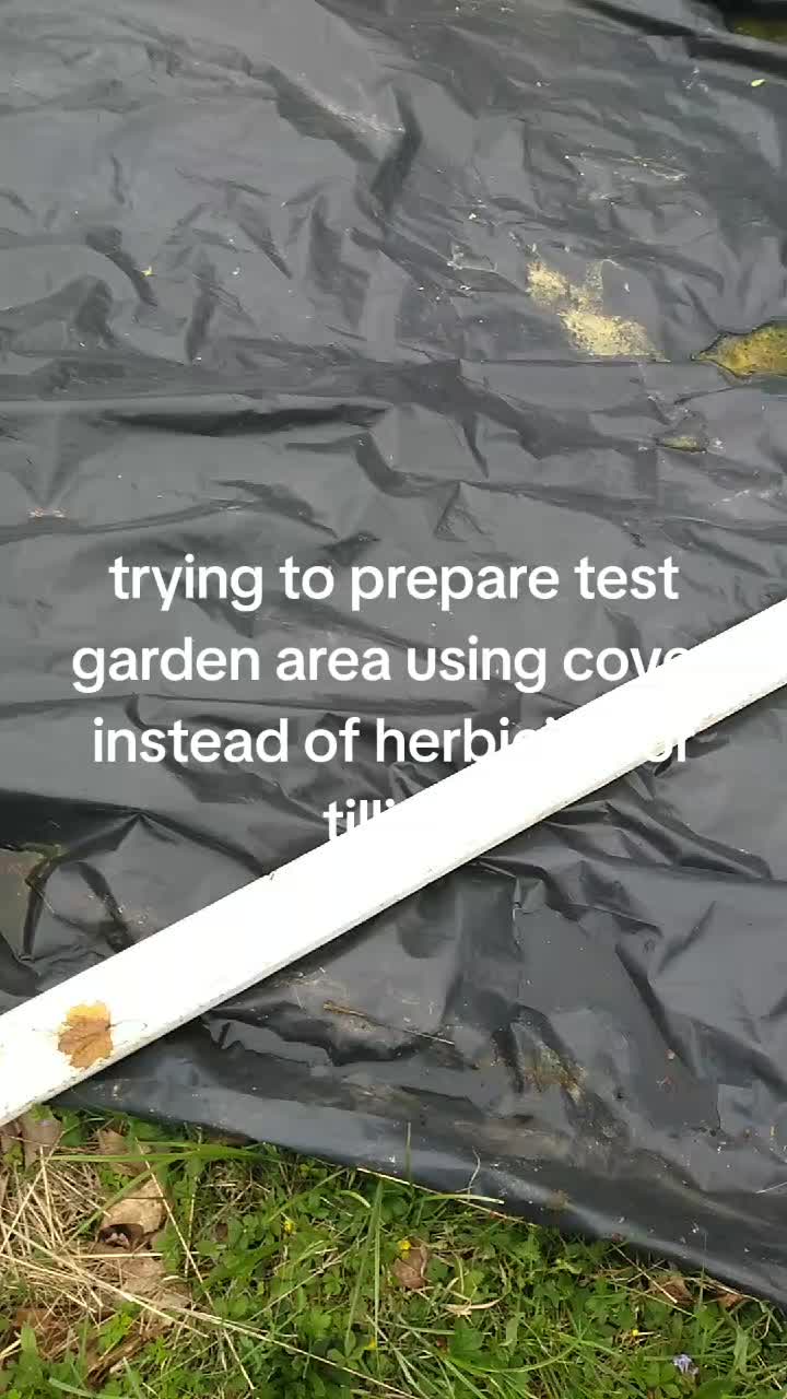 @thegoodnoise11