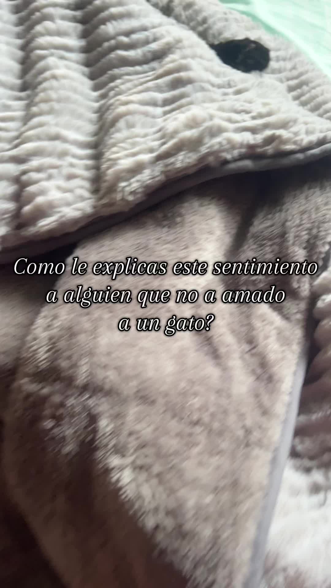@Stefhany
