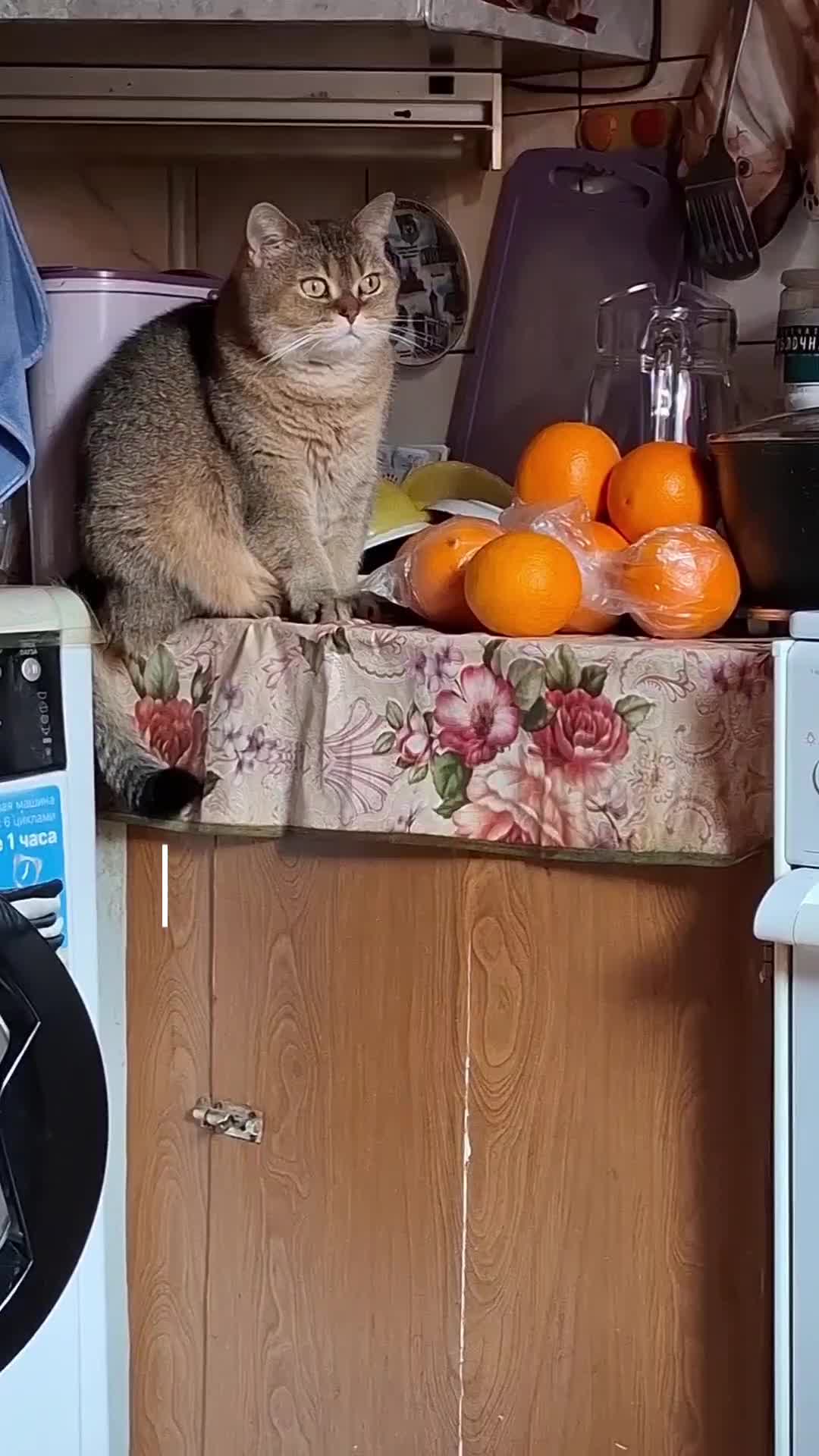 @Жанночка